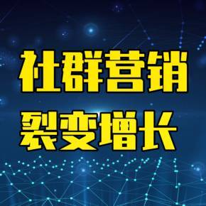 裂變增長與社群營銷 企業(yè)營銷策劃實(shí)戰(zhàn)指南